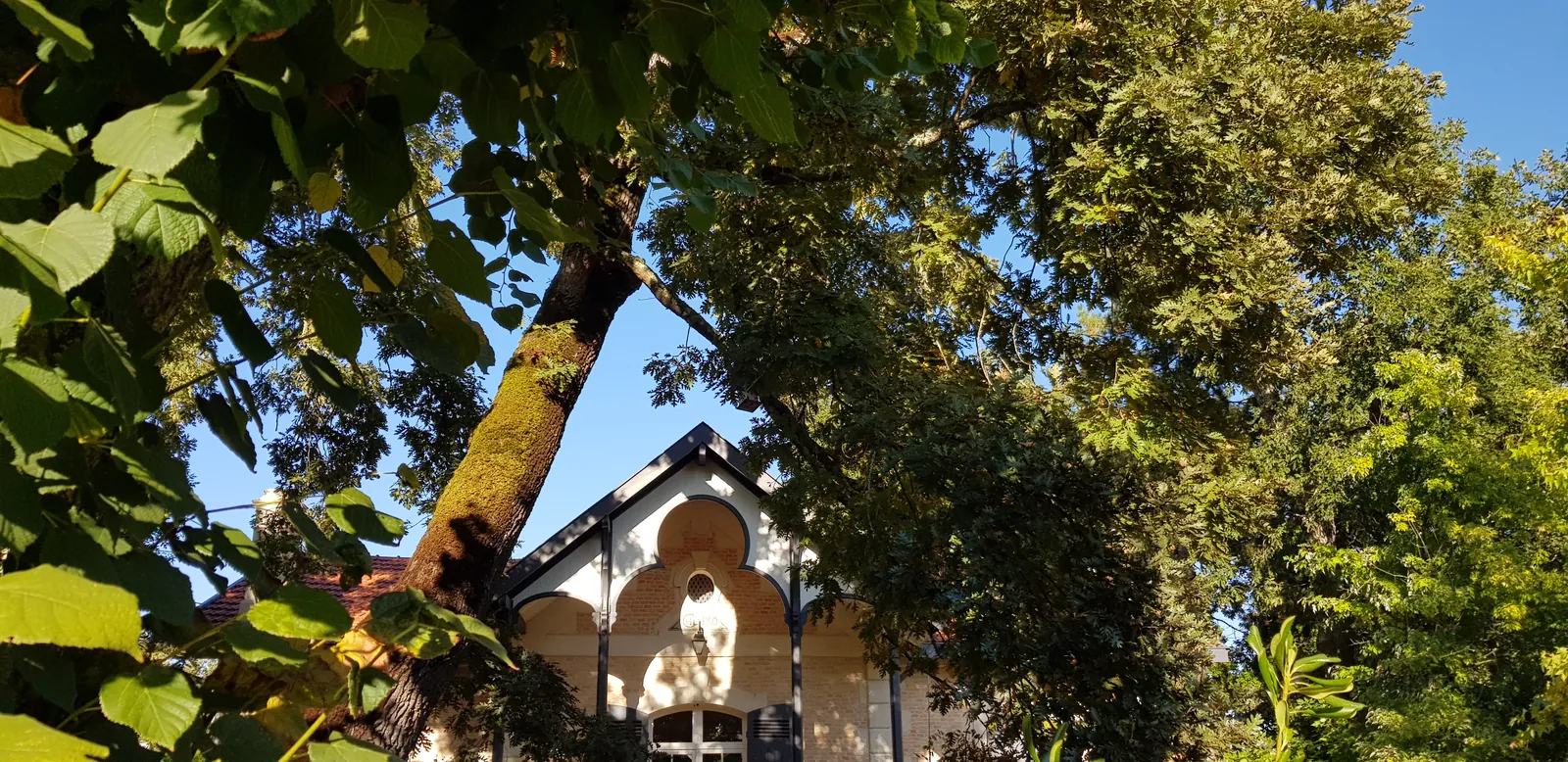 Le pignon ouvragé d’une villa ancienne, entre les branches