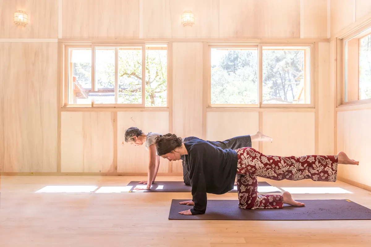 Une pratiquante en planche sur son tapis, dans la salle en bois clair ouverte sur les pins