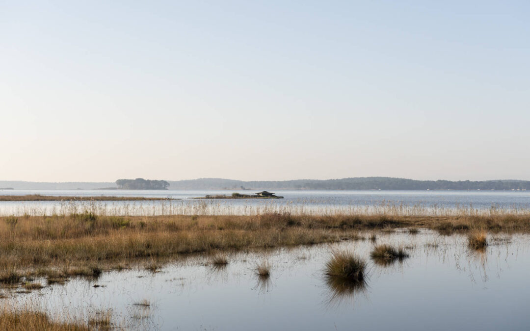 Parcours des sens autour du lac de Lacanau