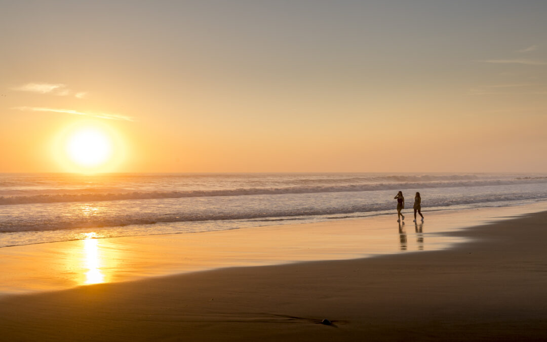 Assemblée Générale / Repas  