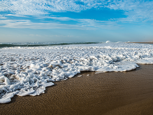 La Pointe du Cap Ferret