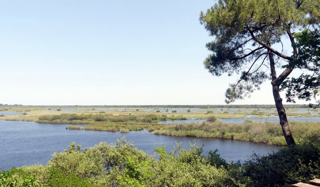 Réserve naturelle de l’étang de Cousseau