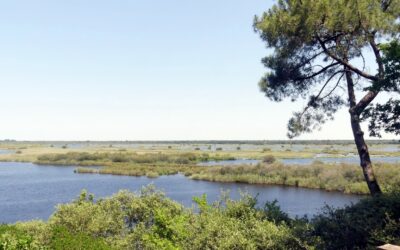 Etang de Cousseau Yoga Rando